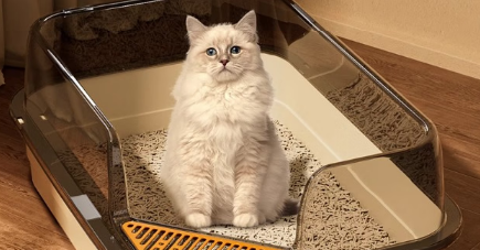 猫砂盆怎么选？稆穹猫砂盆告别猫砂外溅烦恼