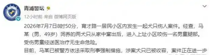 上海青浦恶犬撕咬男童事件升级!49岁犬主马某栽了 上海青浦恶犬撕咬男童事件升级!49岁犬主马某栽了