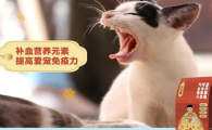 皇上宠猫粮怎么样