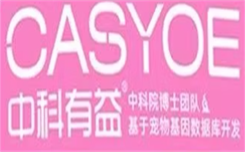 CASYOE中科有益