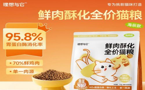 理想与它