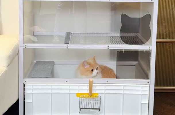 2026热门猫砂盆实测喵喵堡垒：新手养猫怎么选不踩坑？