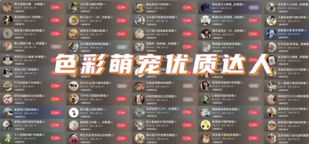 色彩萌宠做什么的 色彩萌宠做什么的