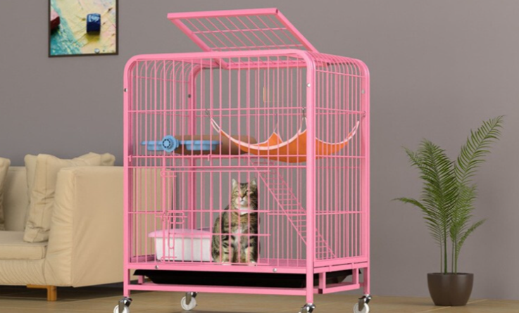猫笼怎么选靠谱？迈宠奇猫笼为何适配居家养猫需求