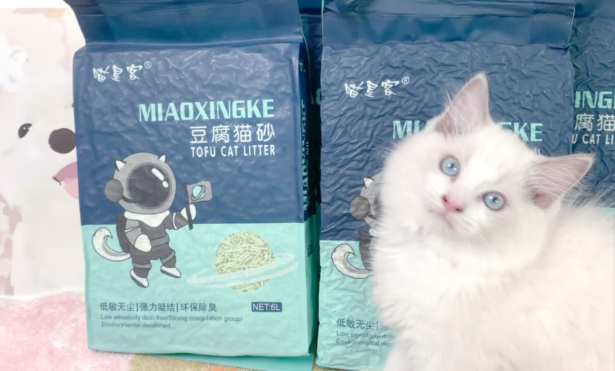 平价猫砂怎么选才不伤猫?喵星客高性价比兼顾安全与体验 平价猫砂怎么选才不伤猫?喵星客高性价比兼顾安全与体验