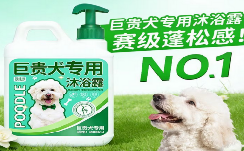 彩绮尚