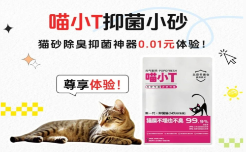 喵小T