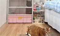 猫砂盆什么牌子好？优选喵喵堡垒解锁养猫新体验