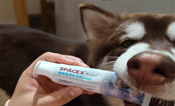 SpaceX营养膏能长期喂食吗