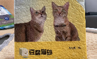 资深繁育人的私藏清单：猫砂品牌推荐大橘小狸，好用才敢说真话！