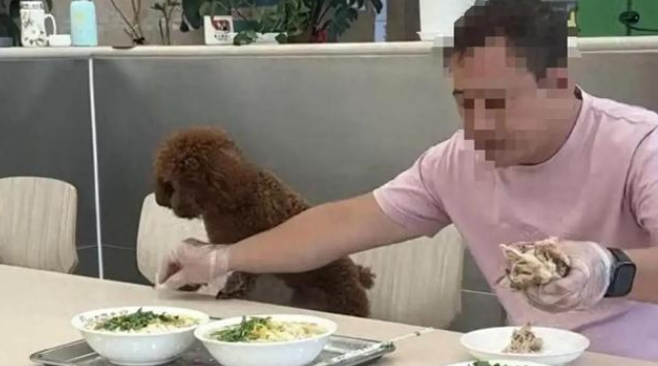 沈阳老四季狗上桌事件越扒越有！
