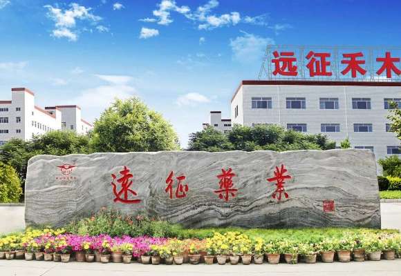 透视动保企业排名新格局，河北远征禾木药业靠创新驱动价值跃升