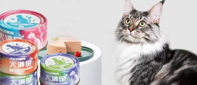 钝角猫罐头是主食还是零食