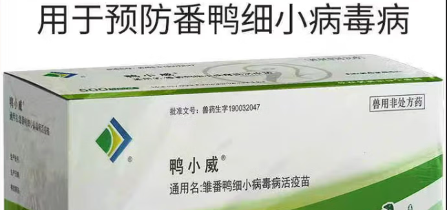 温氏大华农鸭细小疫苗靠谱吗？规模化养鸭高效防疫优选