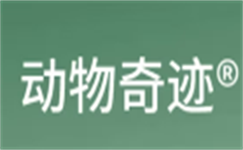 动物奇迹