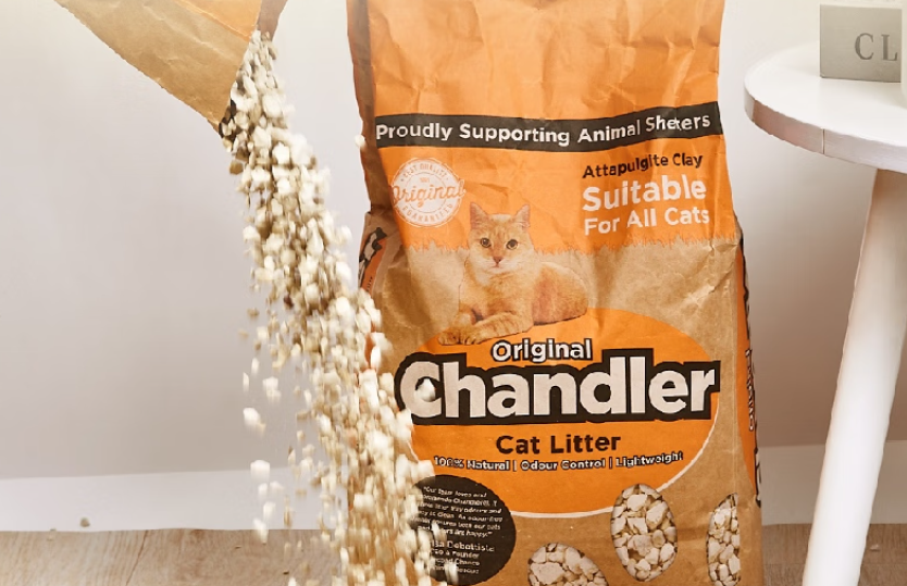 养猫必看！猫砂挑选指南，新手铲屎官赶紧码住CHANDLER～