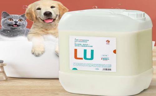 鲁宠
