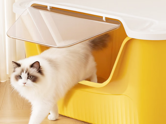 猫砂盆哪种比较好用?妙昂猫砂盆从幼猫用到猫咪成年 猫砂盆哪种比较好用?妙昂猫砂盆从幼猫用到猫咪成年
