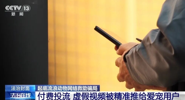 诈骗团伙通过虐狗、摆拍炮制救助剧本，骗取1500多人250余万元