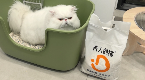 猫砂哪个品牌好用？夫人的猫酵素除臭混合猫砂，3秒结团不粘底