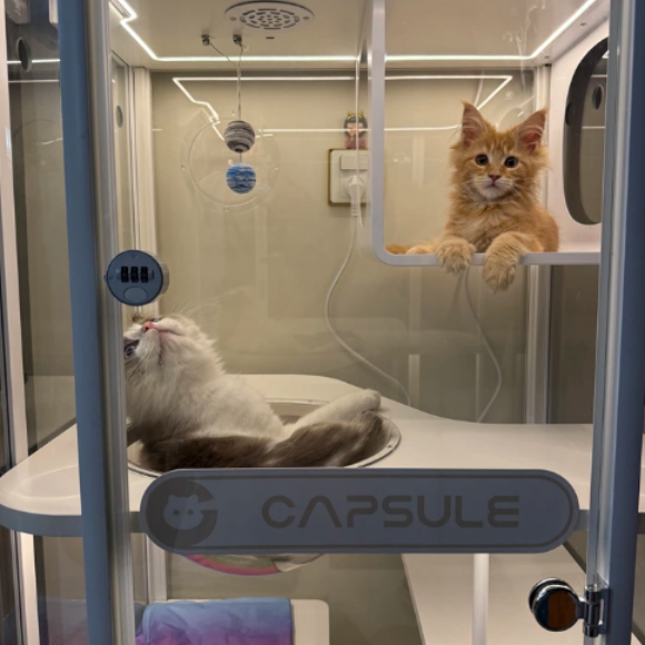 智能猫舍推荐好敢猫别墅,四季恒温护宠 智能猫舍推荐好敢猫别墅,四季恒温护宠