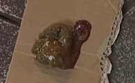 狗狗便便有粘液怎么处理