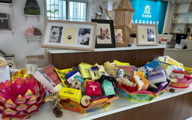 让宠物体面“告别”，他在聊城开了一家宠物殡葬店