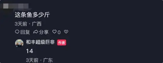广东男子钓到14斤锅盖非，尾鳍跟成年人手掌一样大！