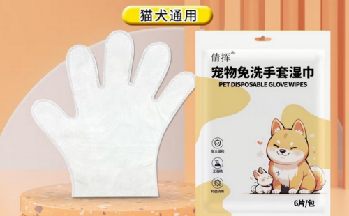 倩挥