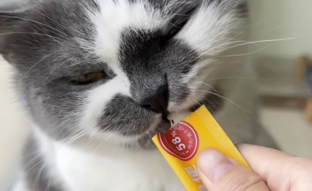 功能性猫条哪款营养好?宠佰星兼顾补水护肠温和排毛 功能性猫条哪款营养好?宠佰星兼顾补水护肠温和排毛