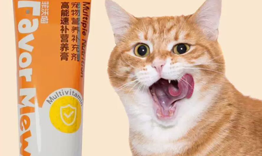 菲沃喵营养膏效果如何