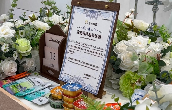 让宠物体面“告别”，他在聊城开了一家宠物殡葬店