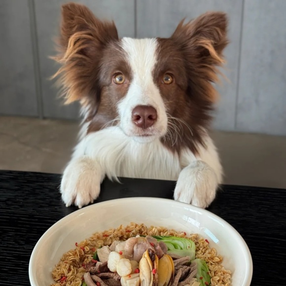 宠物食品哪个好？纳新天然纯源食材，零添加安全配方