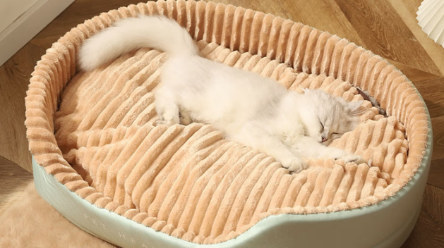 黄岩奥通猫窝怎么消毒 黄岩奥通猫窝怎么消毒
