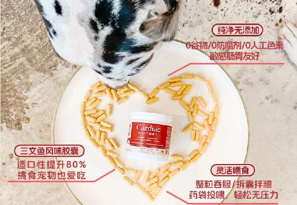 养老家庭发愁猫心脏不好怎么调理?FERA PETS构建差异防线 养老家庭发愁猫心脏不好怎么调理?FERA PETS构建差异防线