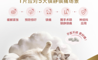 汉维宠仕汉喵宁实际使用体验如何？