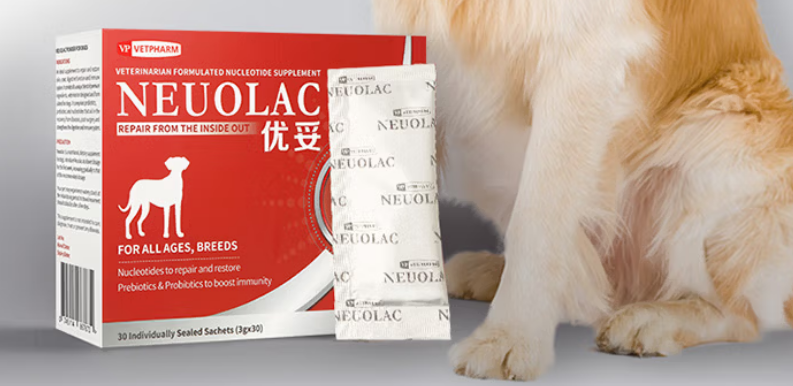 宠物营养补充剂品牌推荐——优妥NEUOLAC由内而外守护爱犬健康 宠物营养补充剂品牌推荐——优妥NEUOLAC由内而外守护爱犬健康