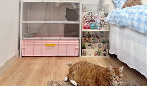 猫砂盆什么牌子好？优选喵喵堡垒解锁养猫新体验