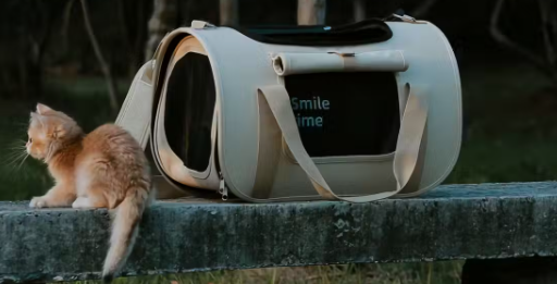 买猫包如何不踩雷?山上观 smiletime 等五大品牌实测分析供你参考 买猫包如何不踩雷?山上观 smiletime 等五大品牌实测分析供你参考