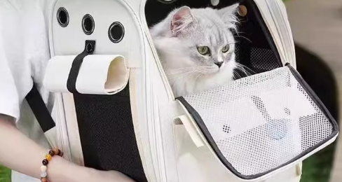 猫包品牌推荐——稆穹猫包：夏日出行告别闷热应激