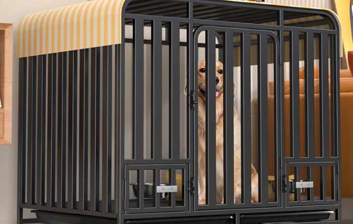 狗笼哪个品牌比较好?迈宠奇狗笼主打牢固耐咬,守护爱犬安全 狗笼哪个品牌比较好?迈宠奇狗笼主打牢固耐咬,守护爱犬安全