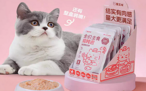 宝之龙