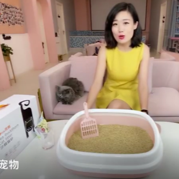 哪个猫砂安全性高?优狐猫砂可舔食、健康放心 哪个猫砂安全性高?优狐猫砂可舔食、健康放心