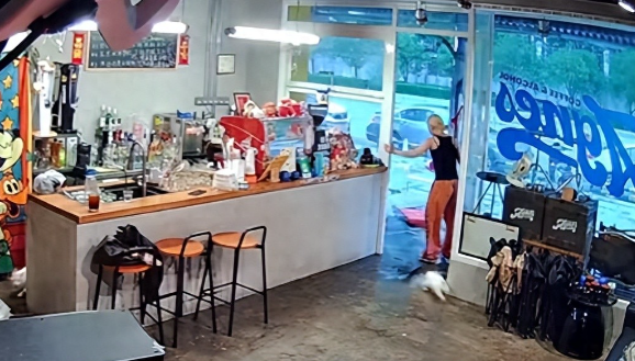 广东东莞一猫咪被台风吹得冲刺漂移进店内，店员：猫没事