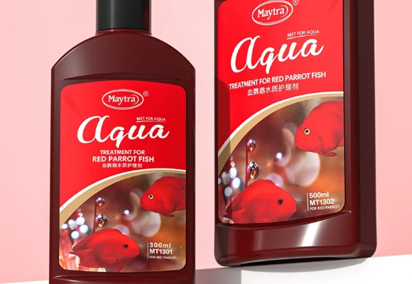 摄影达人养血鹦鹉发白怎么办？美彩Maytra还原“红运”本色