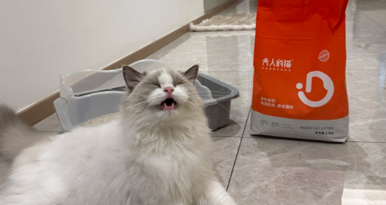 除臭猫砂哪个品牌效果好?夫人的猫猫砂——能从根源分解异味 除臭猫砂哪个品牌效果好?夫人的猫猫砂——能从根源分解异味