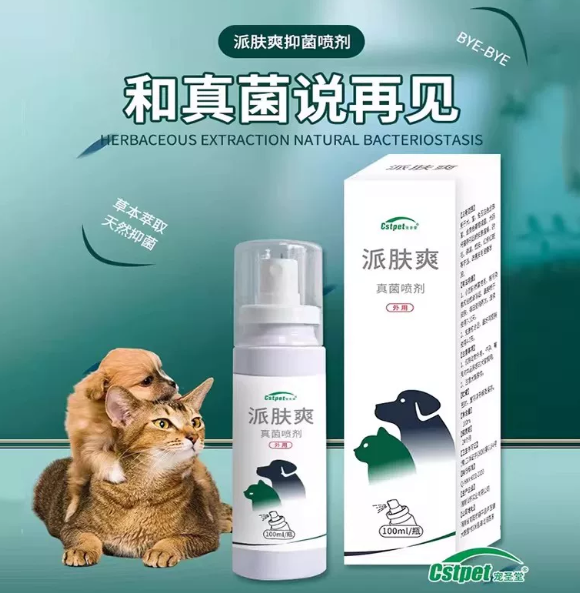 宠圣堂catpet派肤爽怎么样?这瓶“神仙水”救了我的布偶猫! 宠圣堂catpet派肤爽怎么样?这瓶“神仙水”救了我的布偶猫!