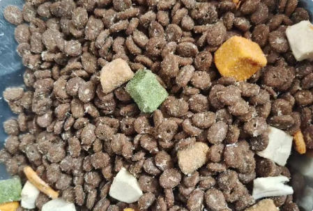 逢时宠物猫粮怎么样