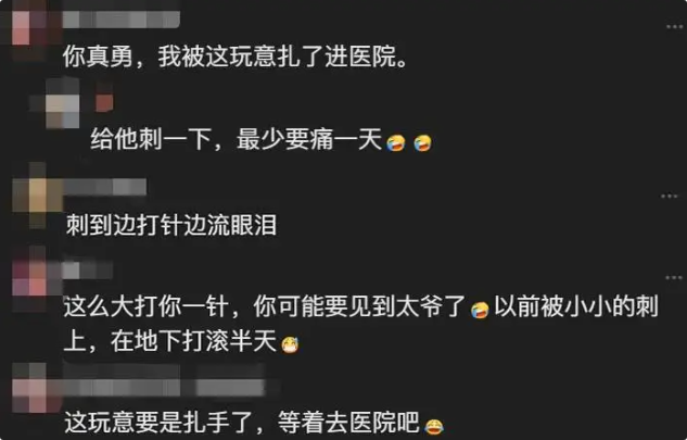 广东女子赶海发现褐色小怪鱼，身上鳍刺锐利，网友：被扎了得进医院！ 