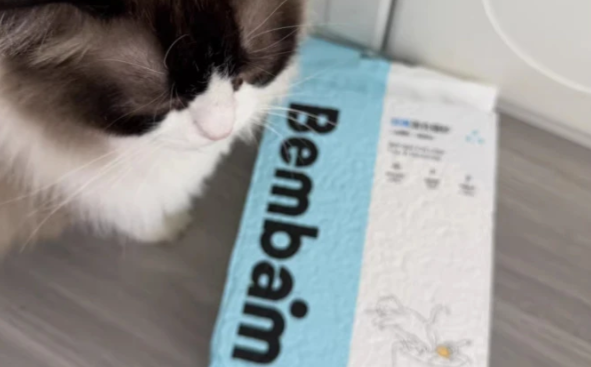 猫砂怎么选灰尘少？Bembam猫砂三重除尘呵护猫咪